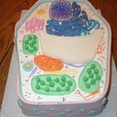 Plant Cell Cake