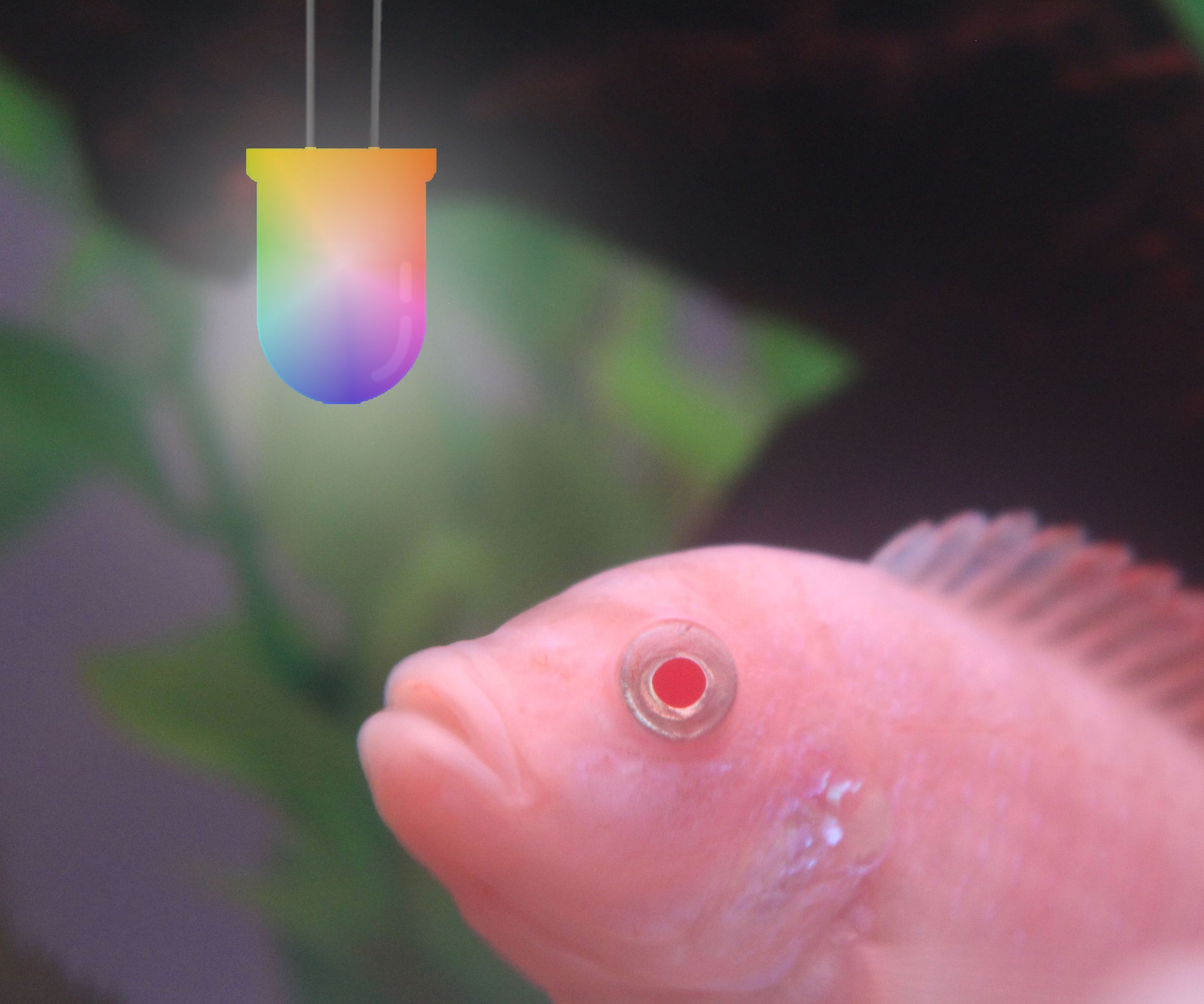 Automated Aquarium Lighting System