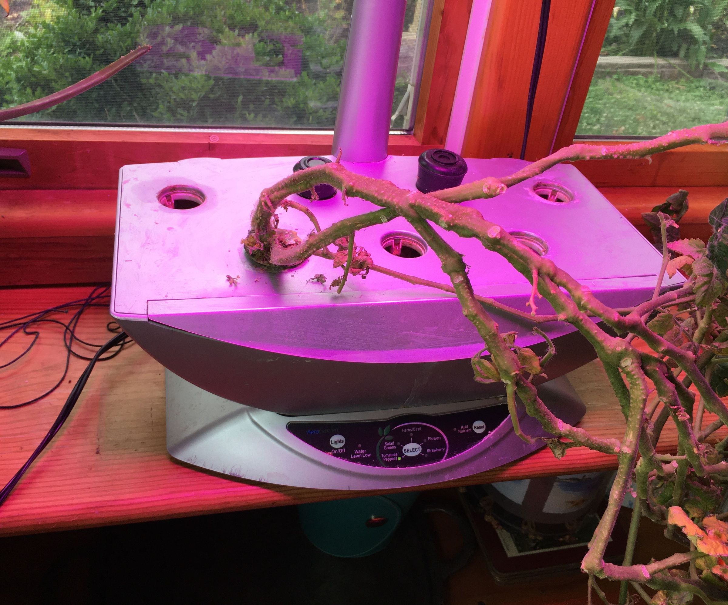 Repairing an Aerogarden Pump