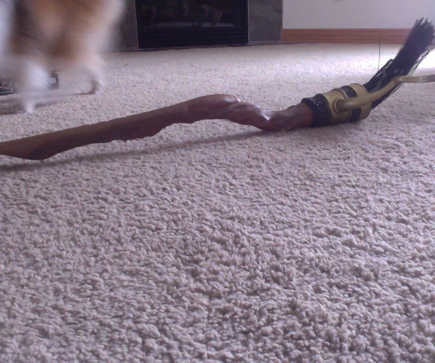 How to Play Quidditch