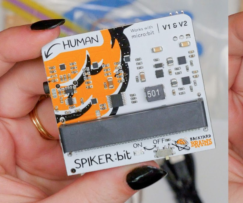 DIY Neuroscience With Spiker:bit