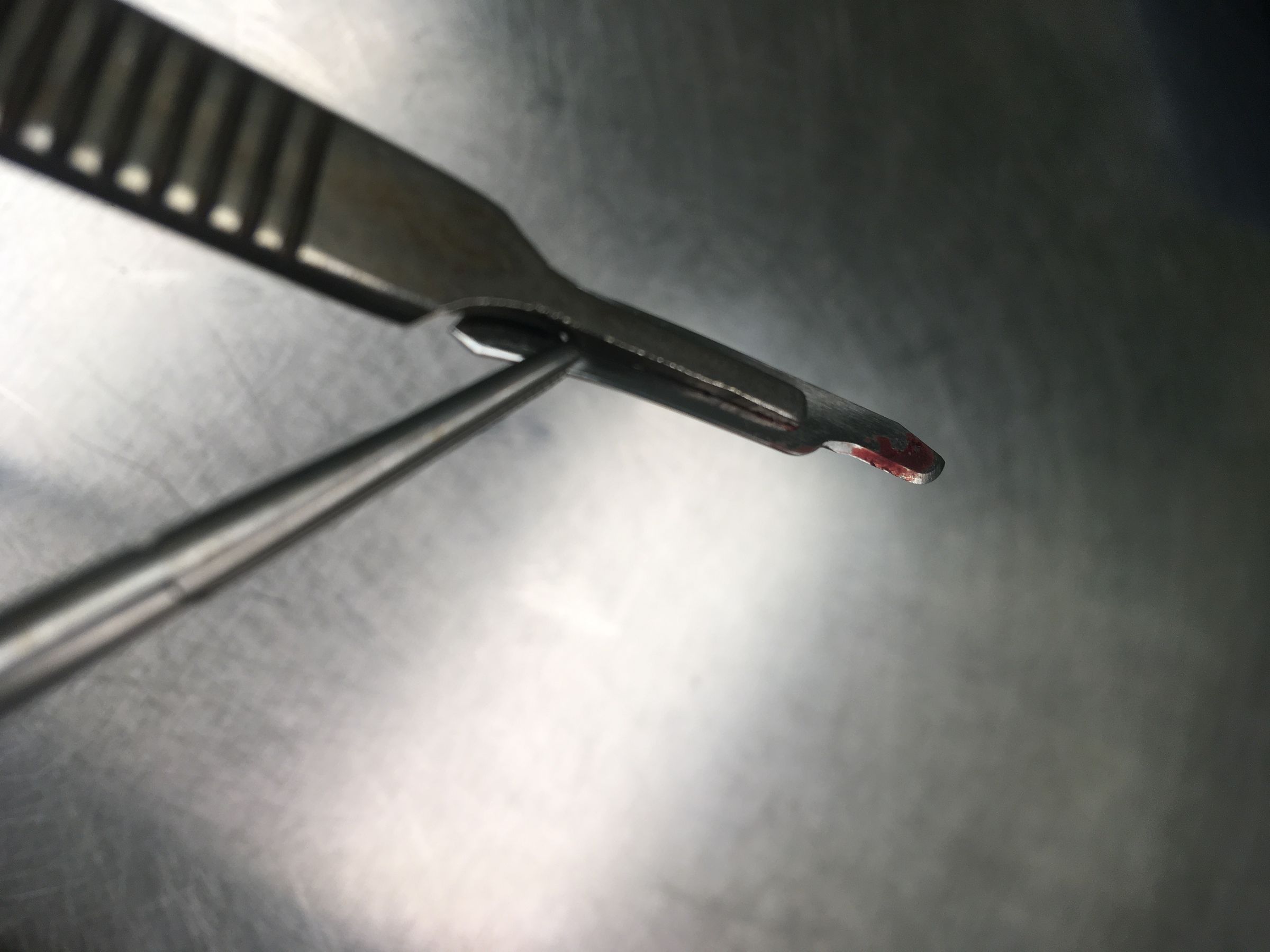 How to Wrap a Veterinary Surgical Pack 18 Steps Instructables