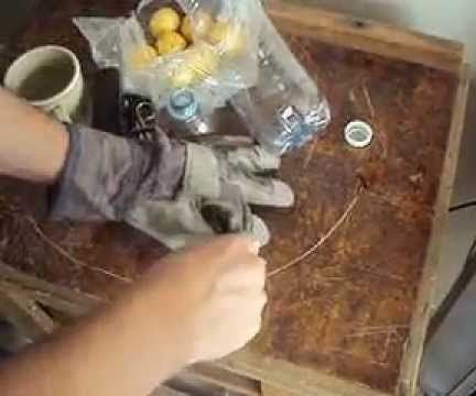 FASTEST BUILT FRUIT FLY TRAP
