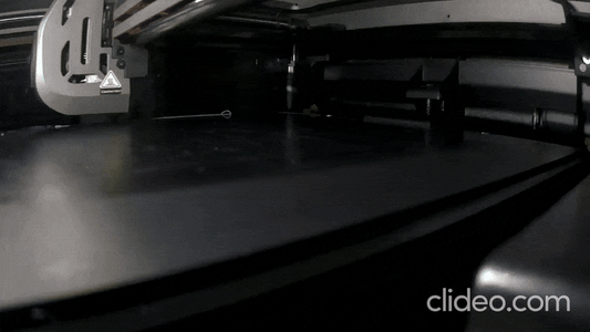 Printing the Organizer