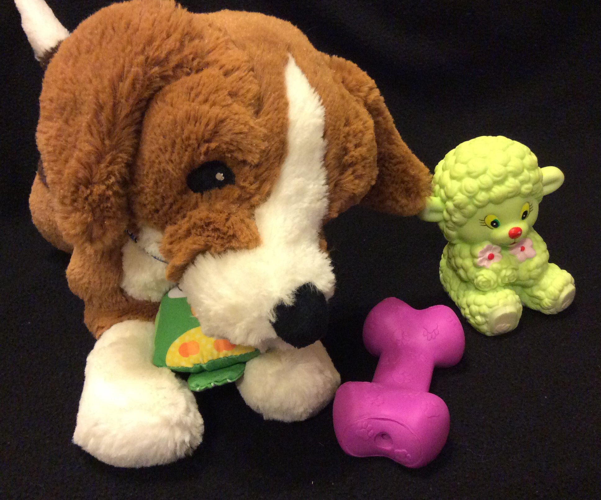 How to Play With a Stuffed Puppy!