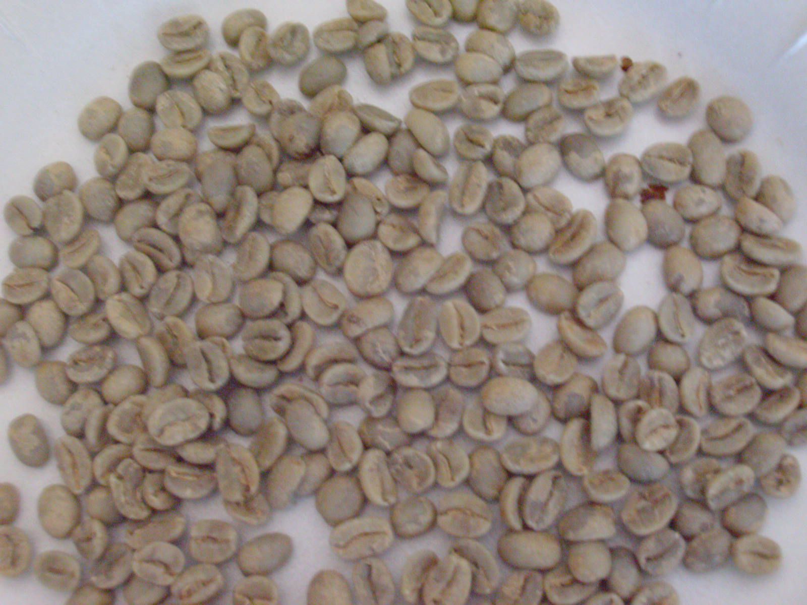 4 Different Coffee Roasters