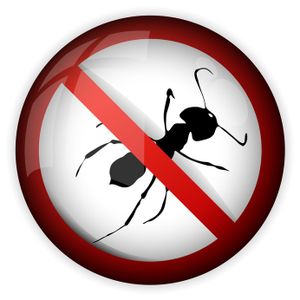 Ant Repellent ''Natural''  Method *you Need Just 10 Second