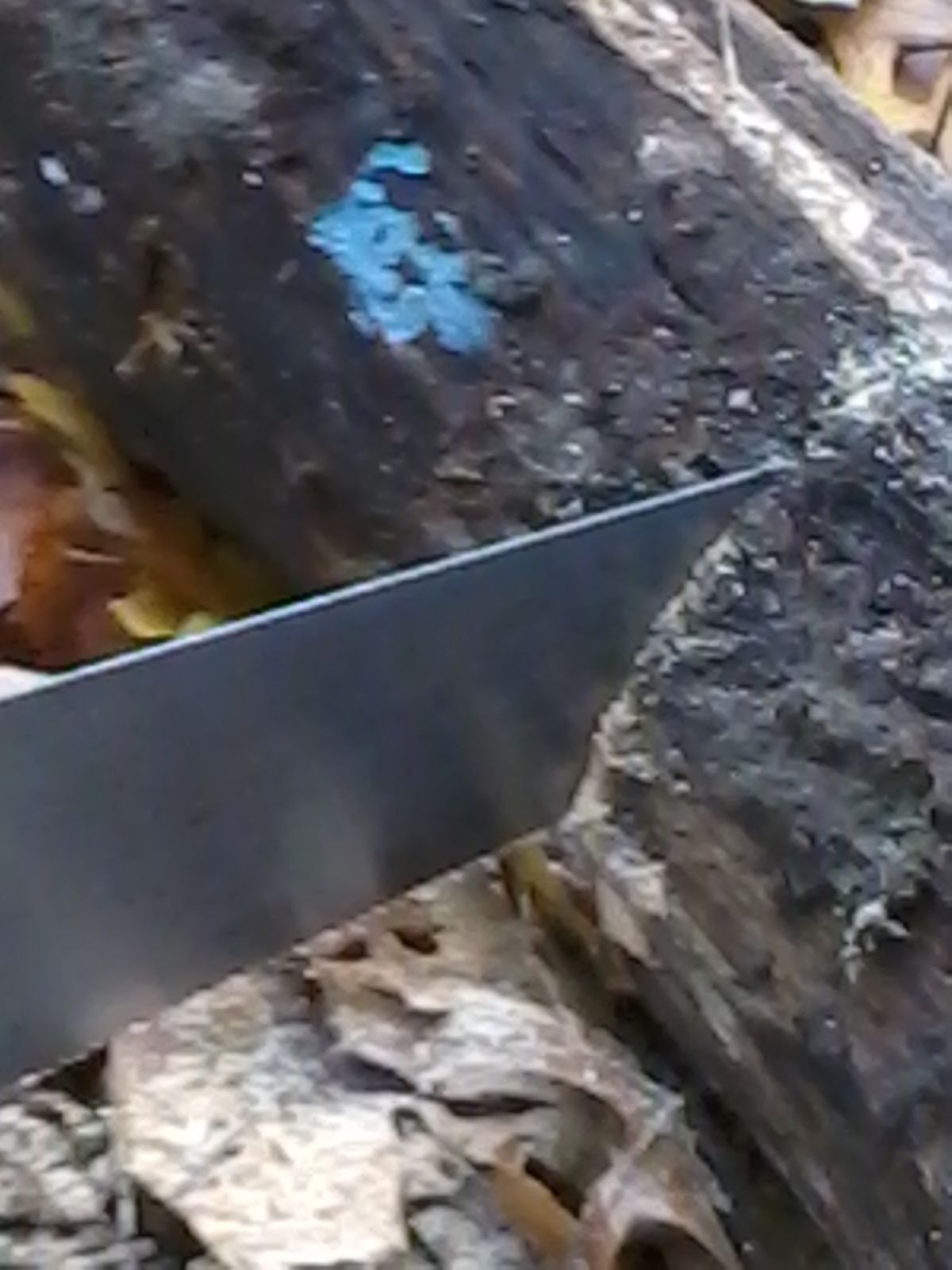 How to Make an Airsoft Base in a Wooded Area