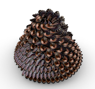 Angulate Wentletrap Inspired Shell