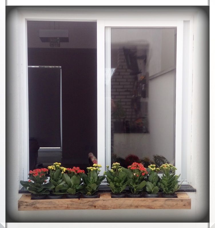 5 Minutes Pallet Joint Planter