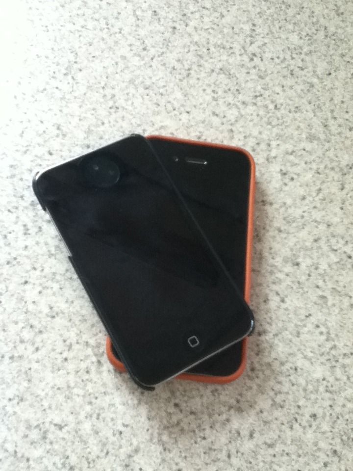 iPhone & iPod Secrets