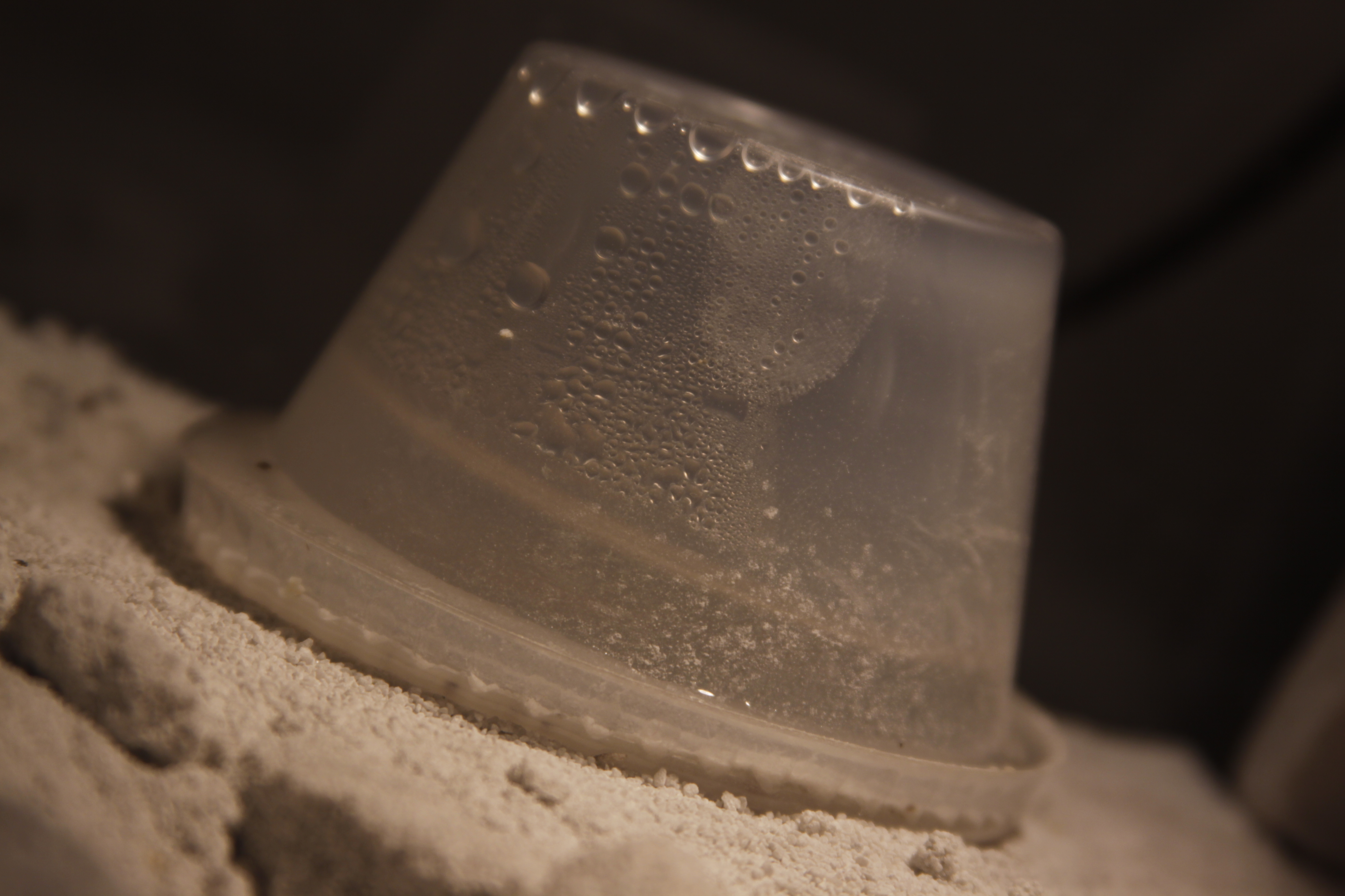 Reptile Water Feeder