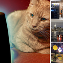 Becky's Top Projects 2024