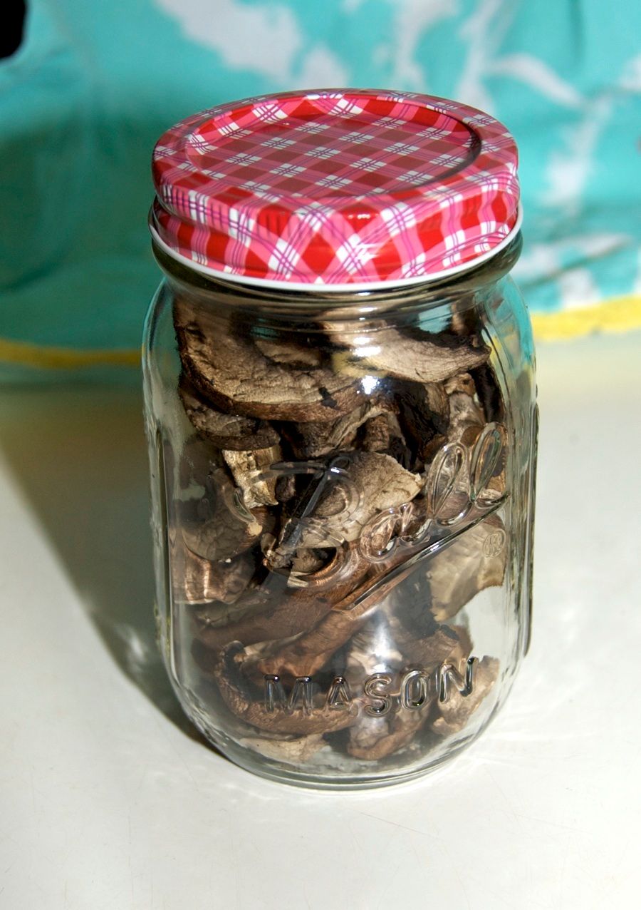 Easy Dehydrated Mushrooms