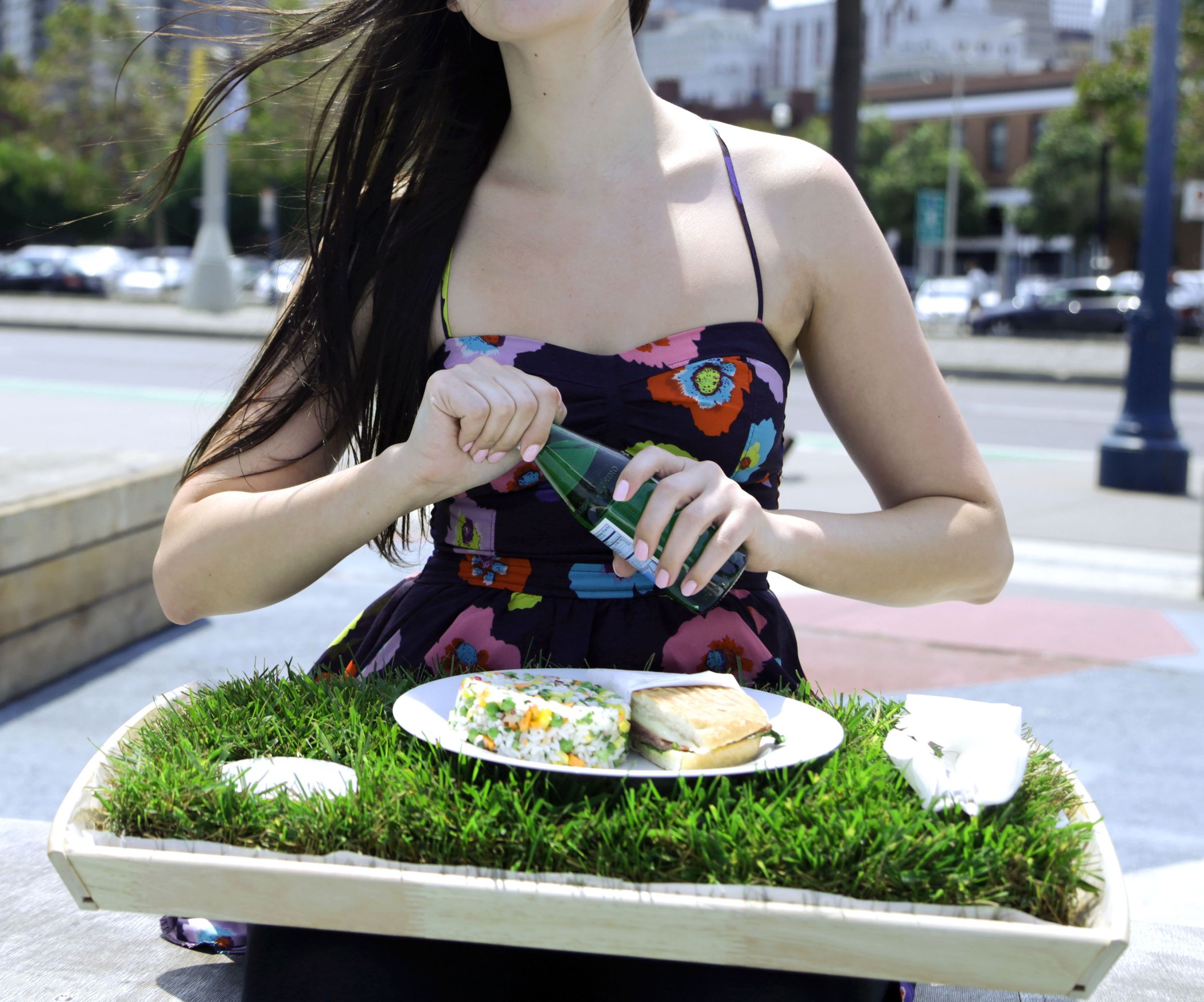 Grass Lunch Tray