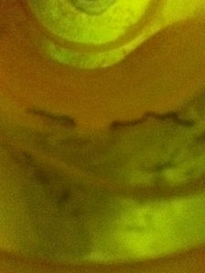 Wiring Igniter to Bottle