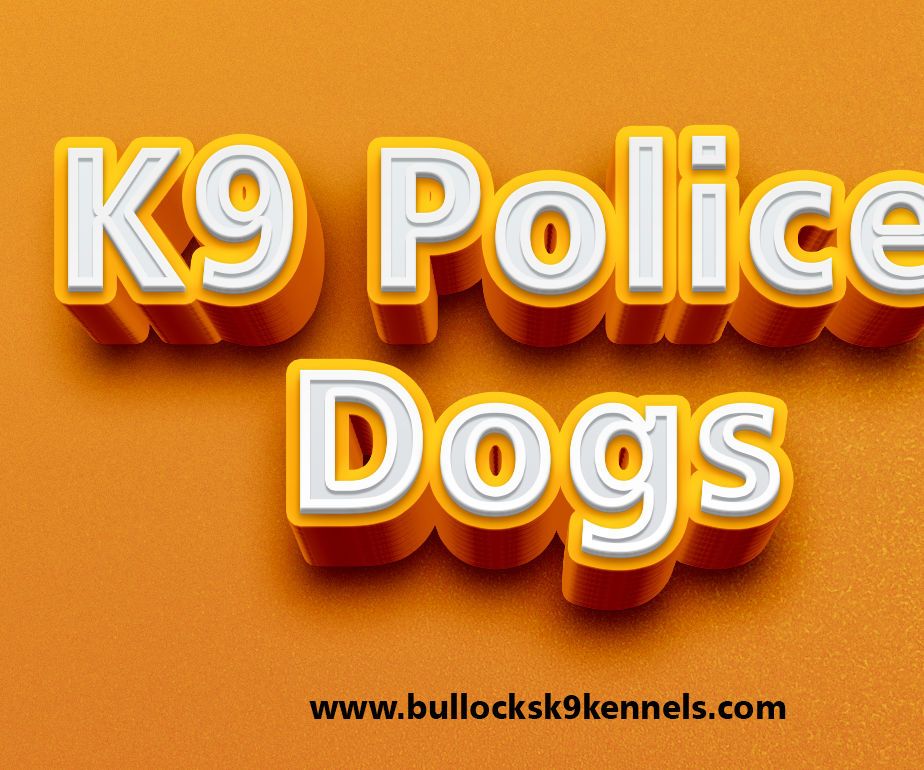 Police K9 Dogs for Sale