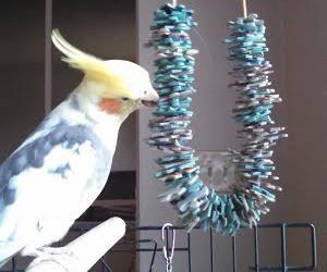 Easy Parrot's Toy From Recycled Puzzle Pieces