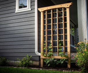 Building a Cedar Grape Trellis