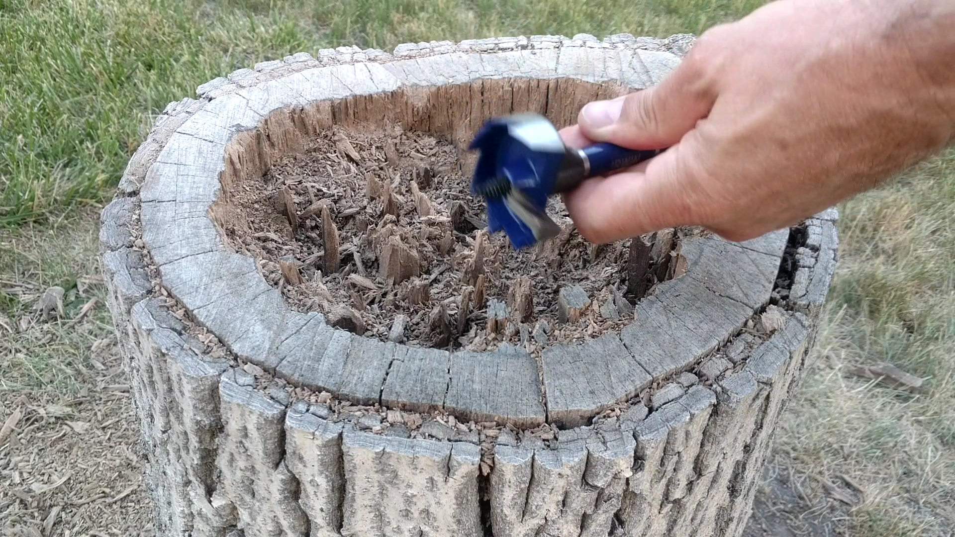 Turn A Stump Into A Planter 7 Steps With Pictures Instructables 