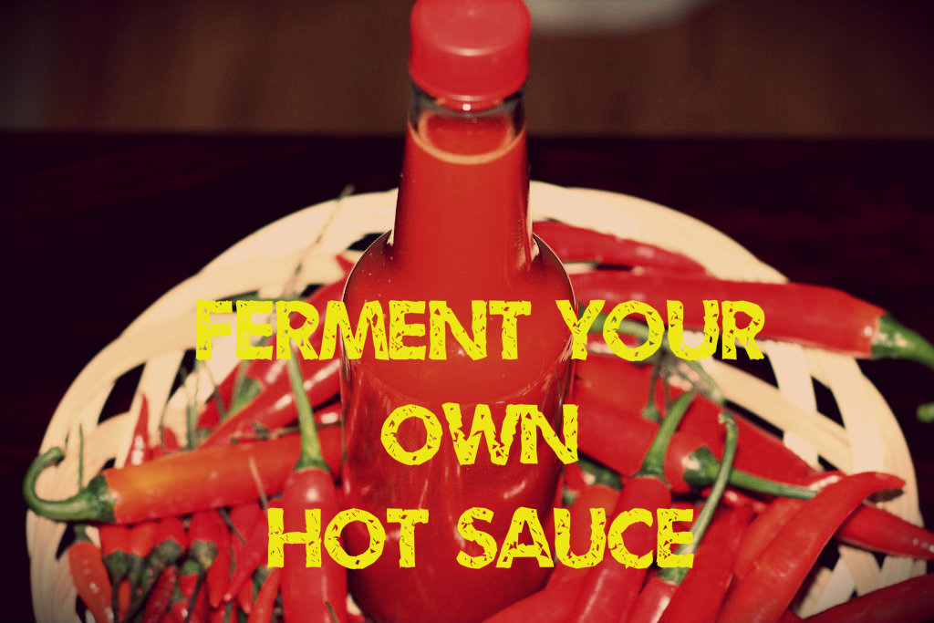 Ferment Your Own Hot Sauce
