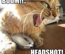 Airsoft Survival Guide