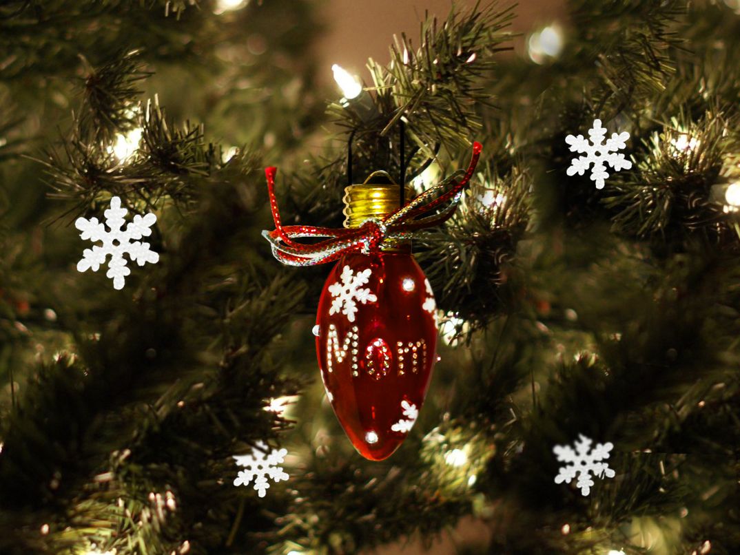 Personalized Ornament (from an Old Bulb)