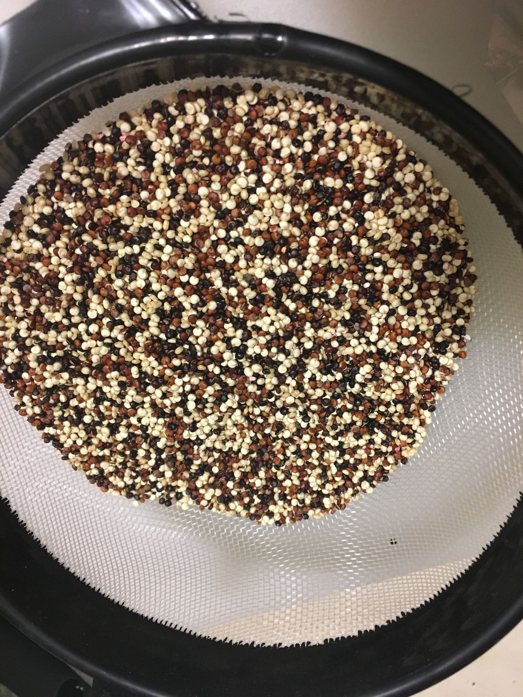 Quinoa Jalapeno Poppers 6 Steps (with Pictures) Instructables