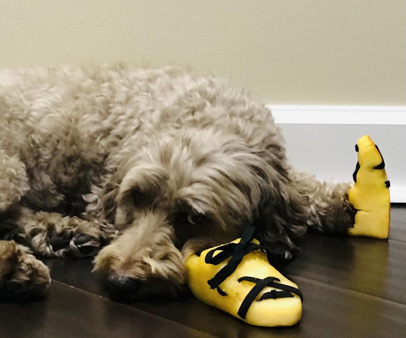 Pumpkin Dog Shoes
