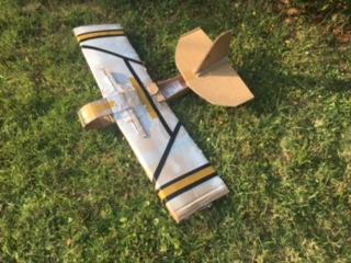 Cardboard Sailplane