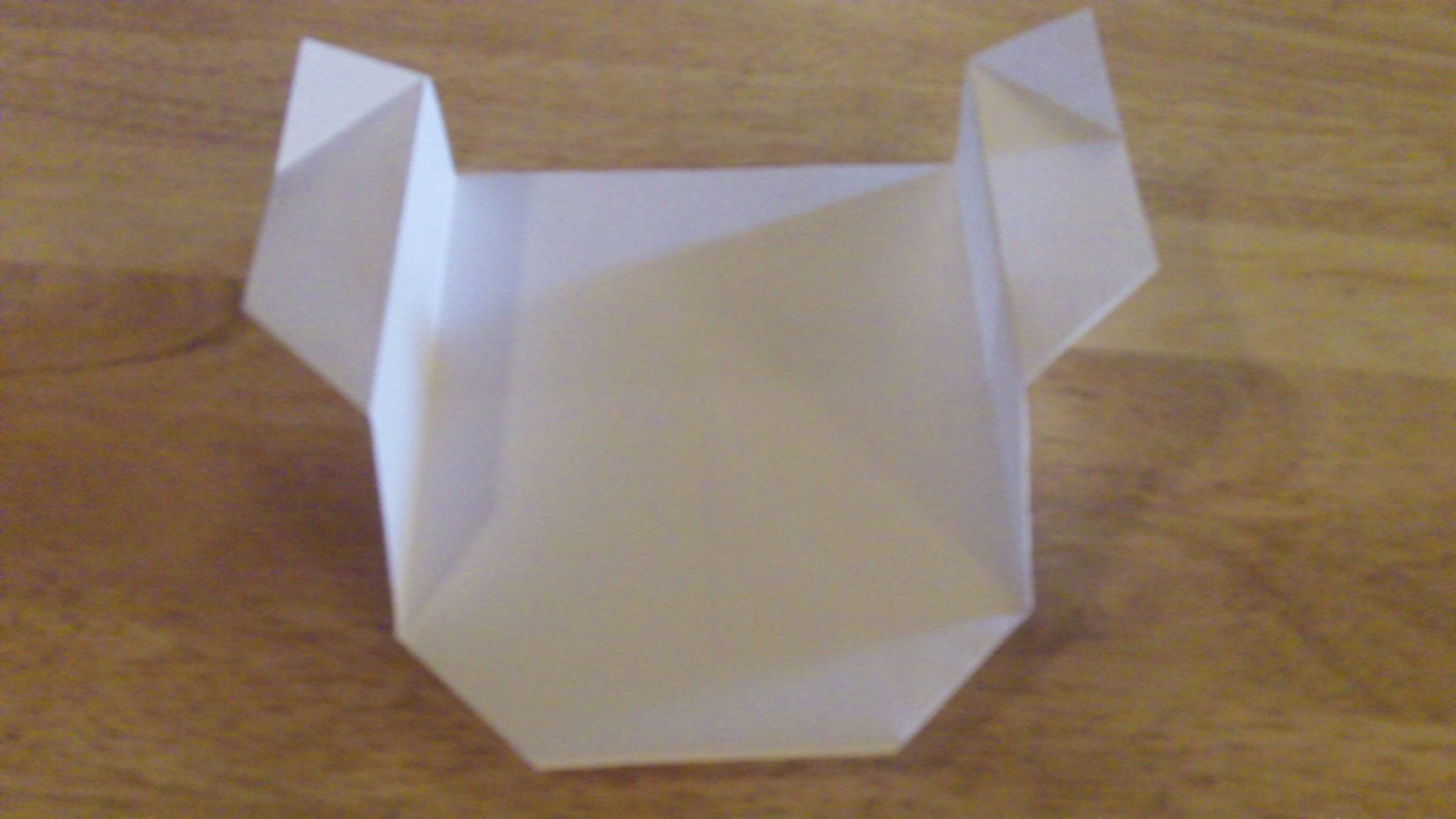 How to Make the Skyhawk Paper Airplane