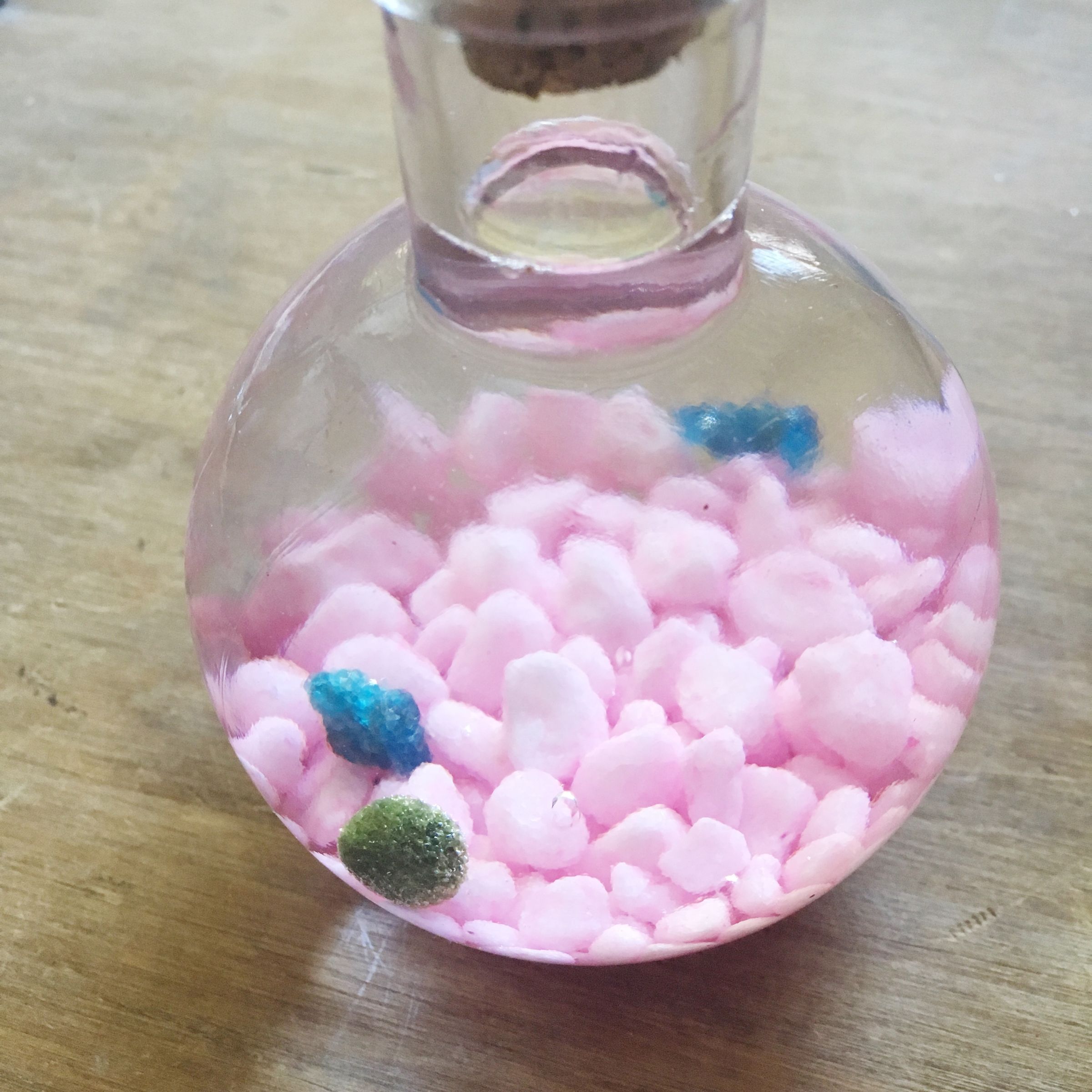 Marimo Moss Ball 6 Steps (with Pictures) Instructables