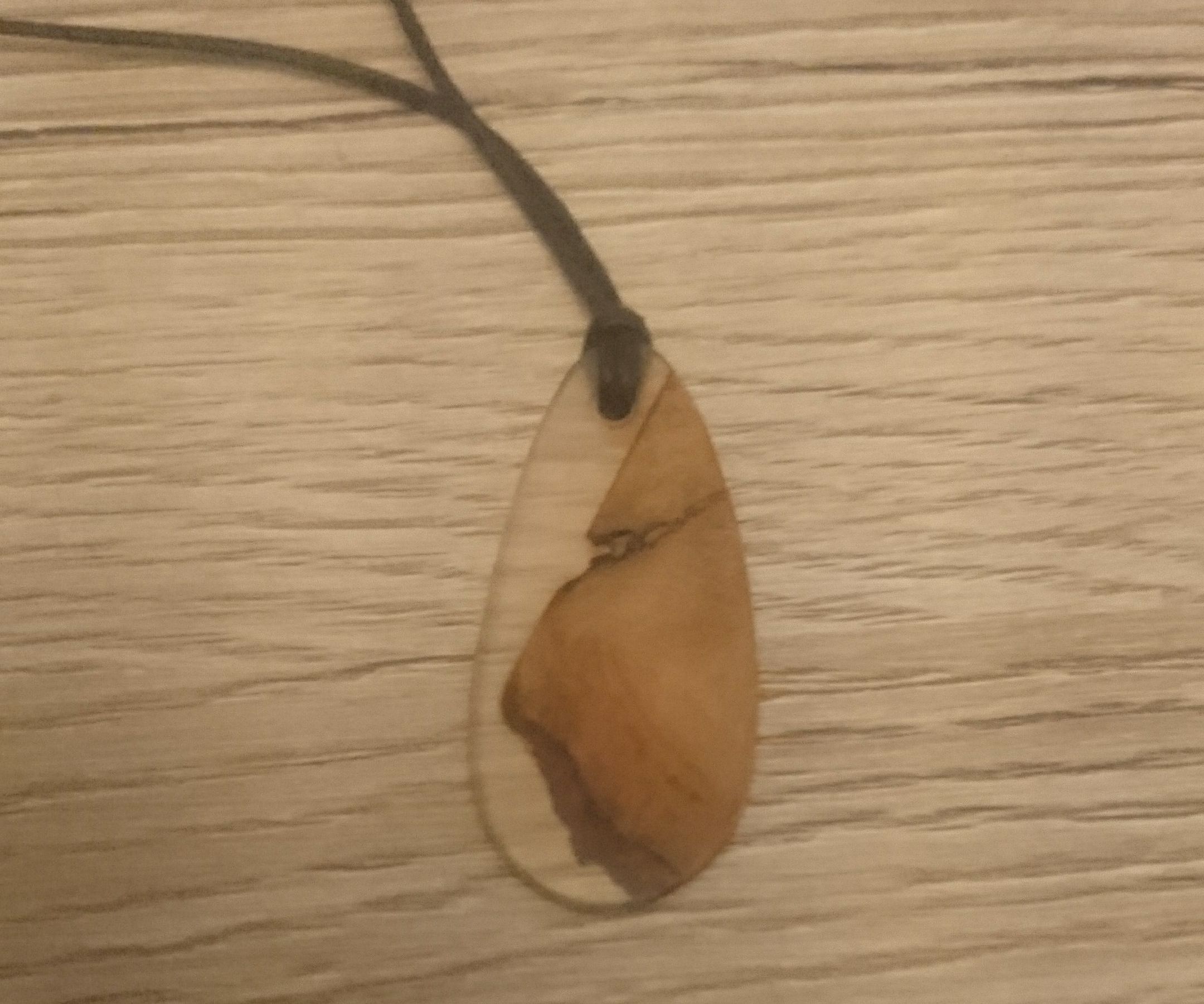 Resin and Wood Pendant 