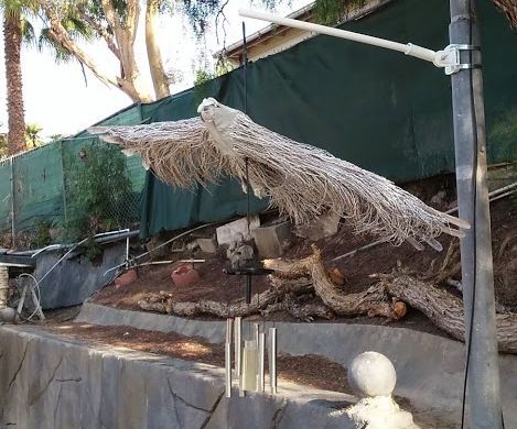 From Palm Tree trimmings to Soaring Eagle Wind Chime