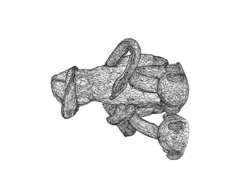 download {{ file.name }}