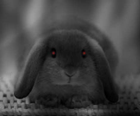 How to Make a Spooky Image on Paint.net