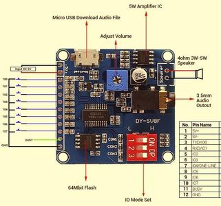 Sound Playback Module