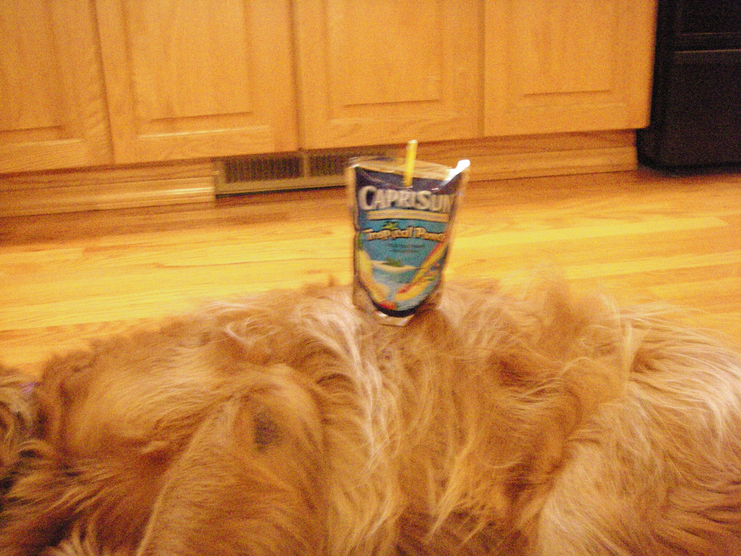 Capri Sun Gun