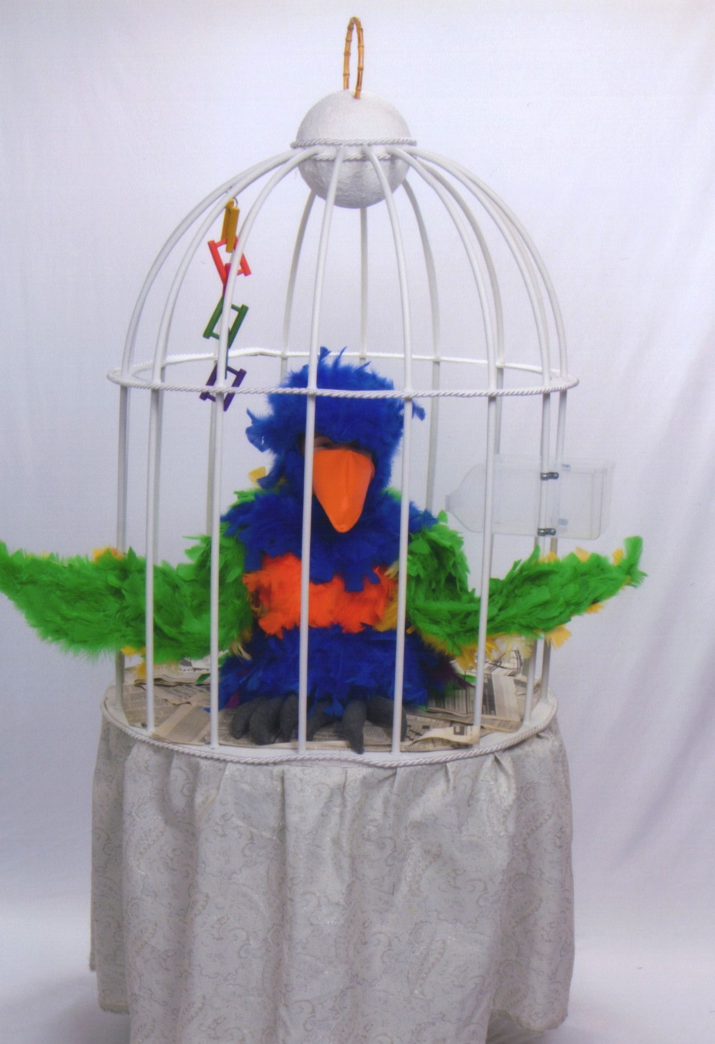 Bird in a Cage