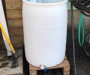 DIY Rain Collection Barrel on My Downspout
