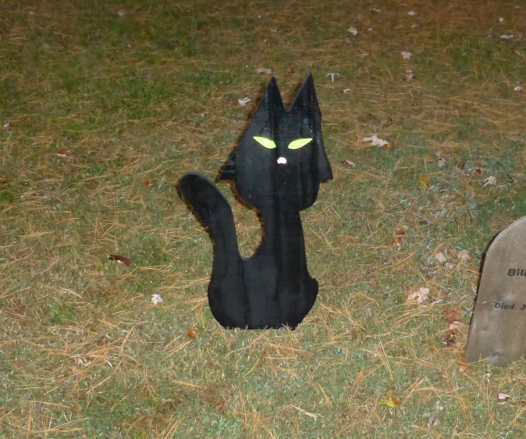 DIY Halloween Black Cat With Glowing Eyes
