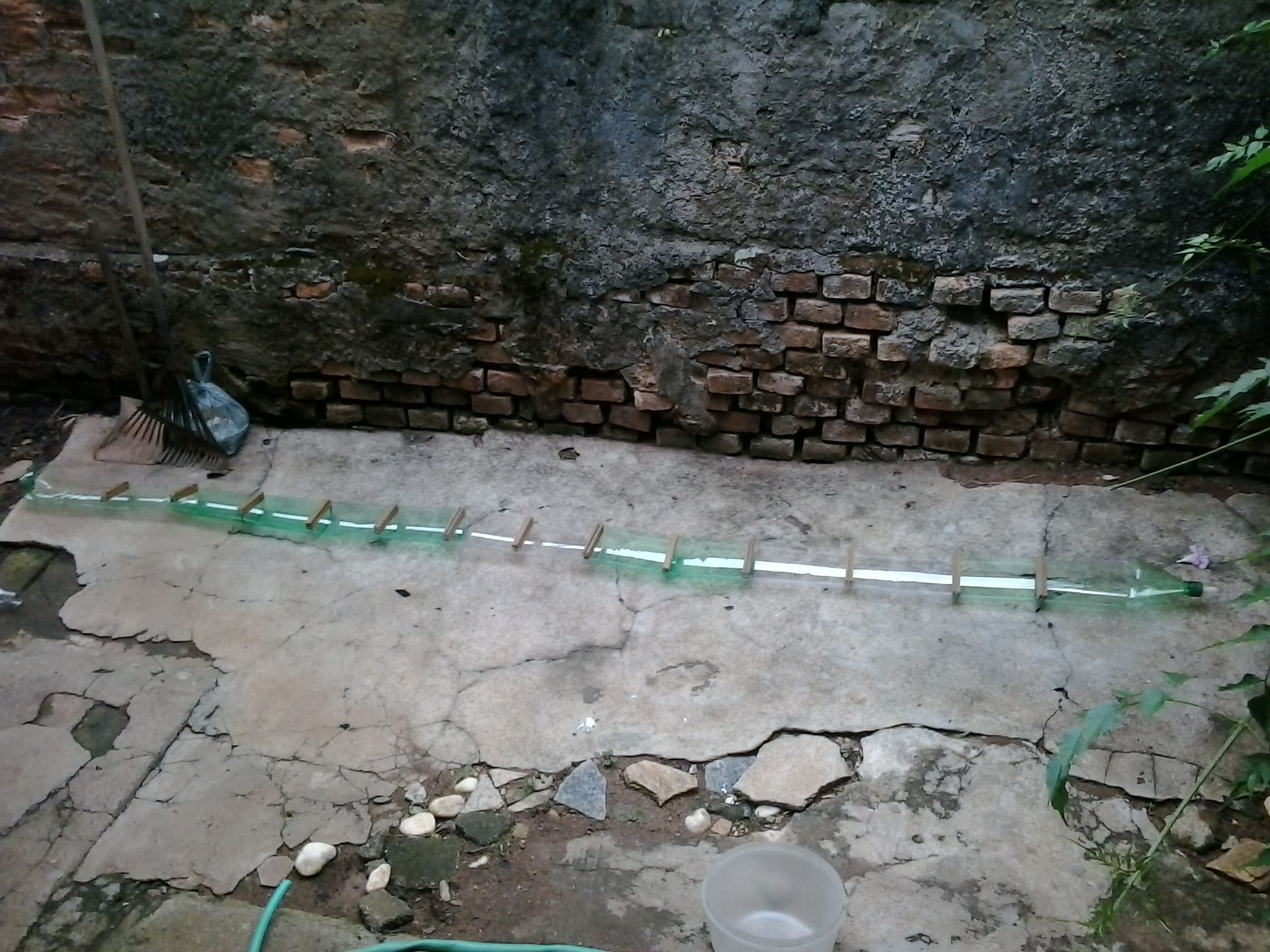 P.E.T. Rain Gutter