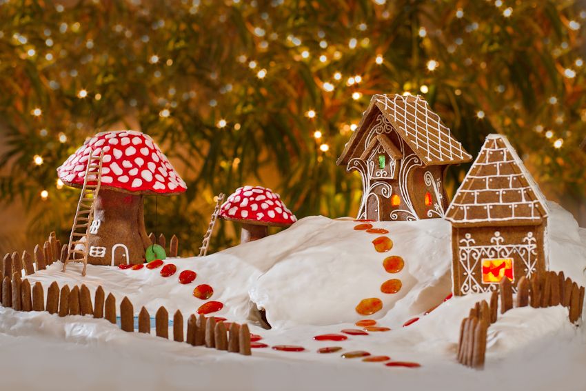 A Fairy Garden Winter Wonderland