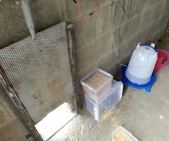 Automatic Chicken House Project