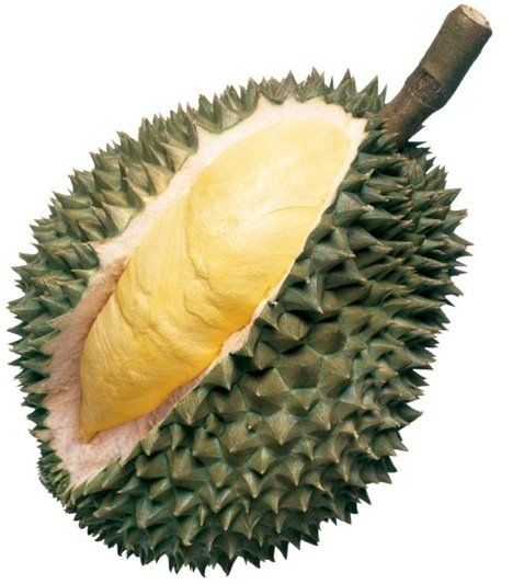 Everybody How Think Durian? or What Are the Benefits of Eat Durian?