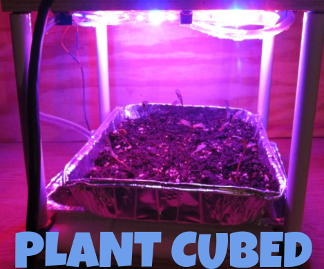 Plant Cubed - a Fully Automated Garden Box