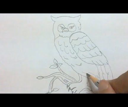 How to Draw an Owl