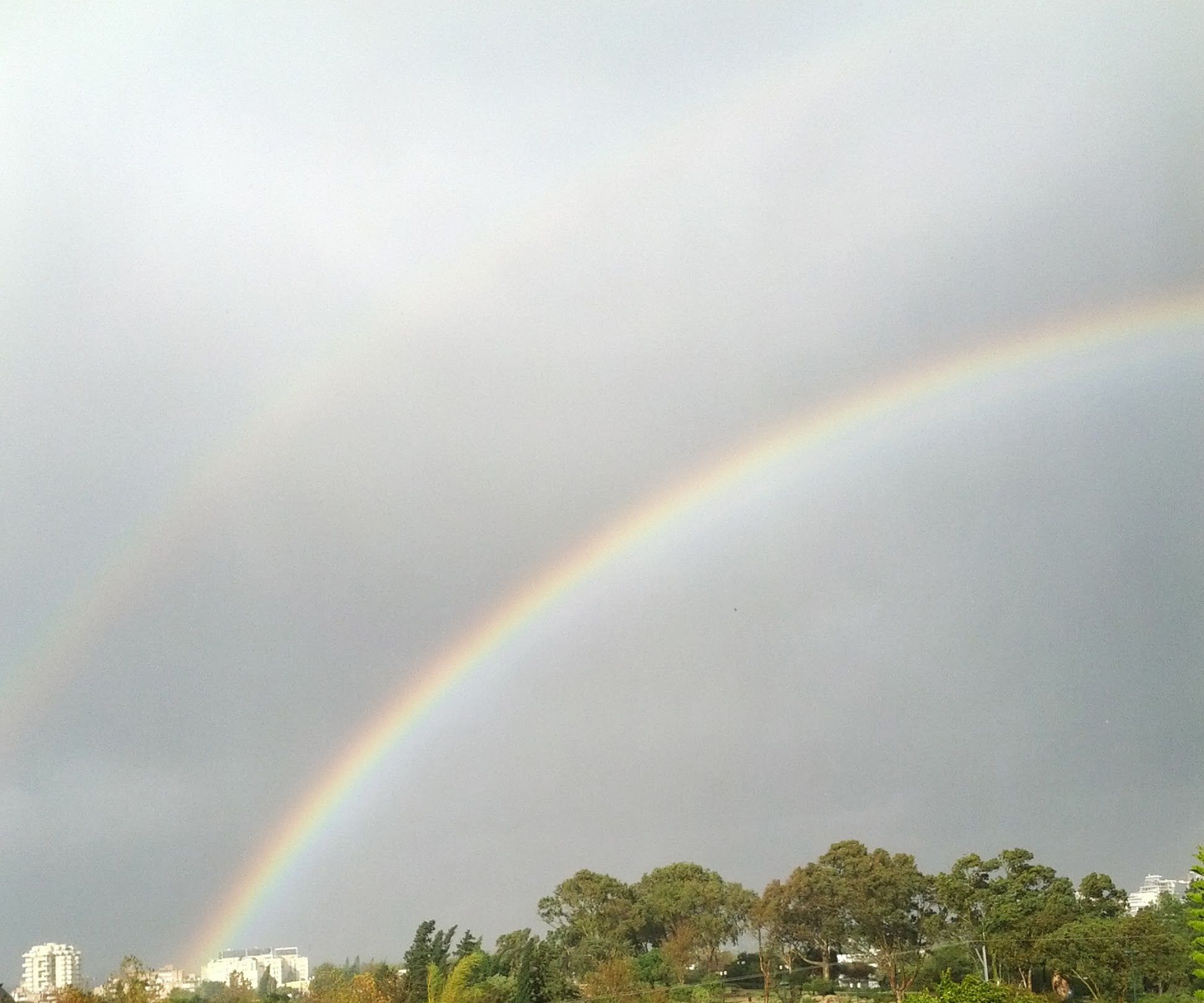 Rainbow Predictor - Projected