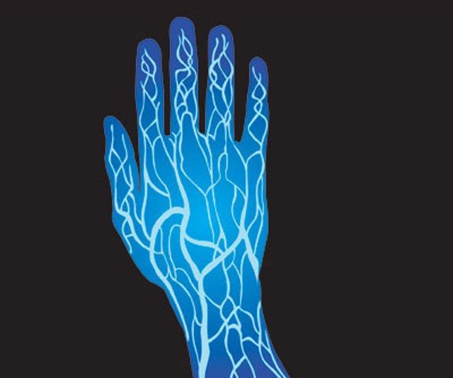 Biometria De Las Venas De La Mano. Raspberry Pi + LCD I2C 