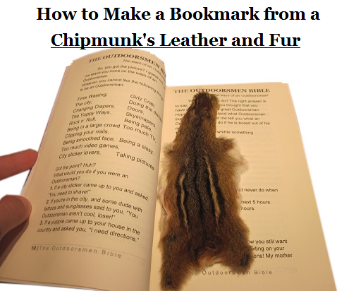 How to Make a Bookmark From a Chipmunk